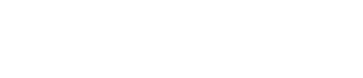 primary wave logo